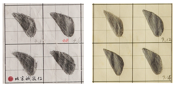 描紅六個(gè)月前后對(duì)比