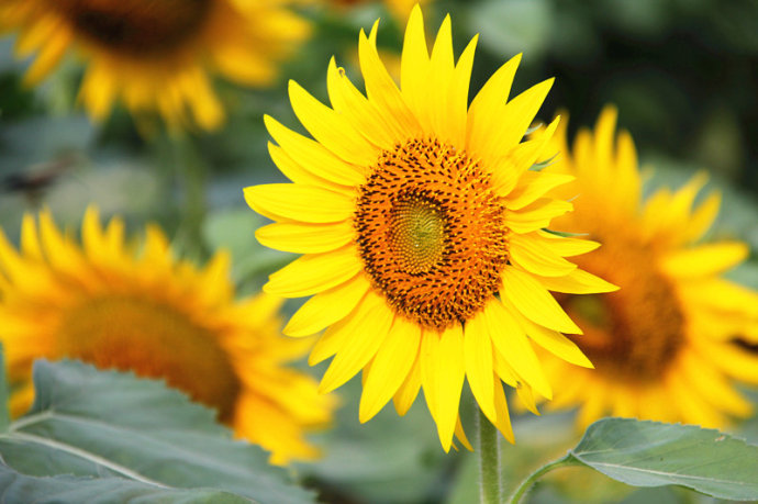 北京誠(chéng)敬仁2015年多元德藝夏令營(yíng)滿載著沉甸甸的期待和希望啟航；