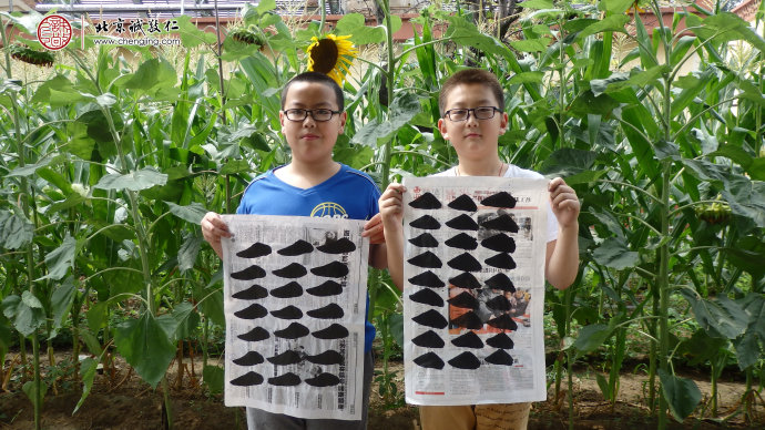 書法一班學(xué)員習(xí)作展示