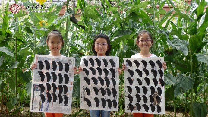 
少年班學(xué)員習(xí)作展示
