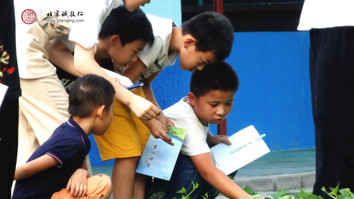 
孩子們認真觀察蔬菜的特點