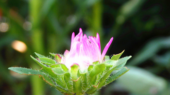 夏日涼風輕輕襲來，心中盛開最美的花朵。
每一天的成長進步，豈是獨自的啟航；
驀然回首，那指引我前進的力量，是父母老師永不疲倦的笑容。
生命在這歡樂幸福的土壤中滋養；
那昂然靈動的作品，更是點亮心燭的歡樂之作。
歡迎您，一起走進我們快樂的心靈天堂……