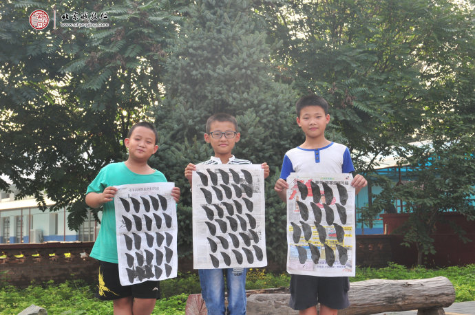 少兒班學員永字八法右側點習作展示