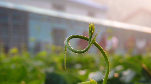 北京誠敬仁2014年暑期德藝書法篆刻培訓(xùn)班