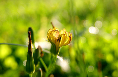 北京誠敬仁2014年暑期德藝書法篆刻培訓(xùn)班