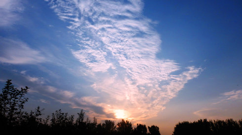 北京誠敬仁2014年暑期德藝書法篆刻培訓(xùn)班