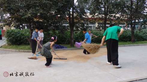 小學(xué)員參加勞動，體會農(nóng)民伯伯的辛勞和一餐一粟來之不易。