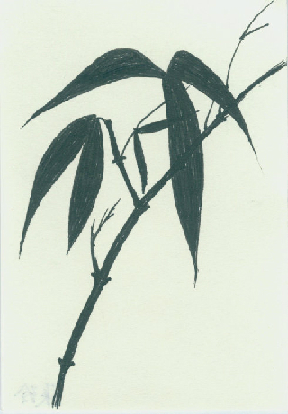 配圖：學(xué)員硬筆國畫習(xí)作展示