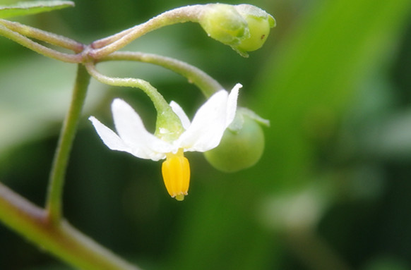 今天我升級到了用墨書寫,看把我給美得。