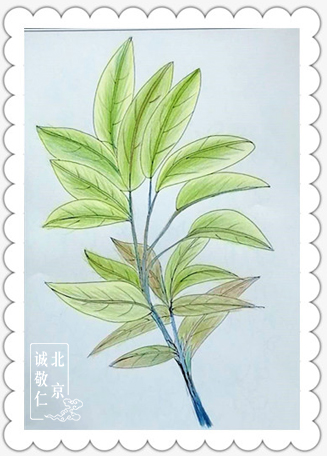 養老院的彩繪故事