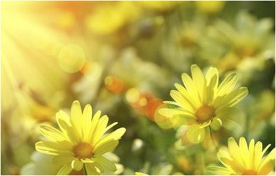 養老院的彩繪故事