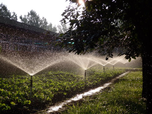 北京誠敬仁通州小院即景