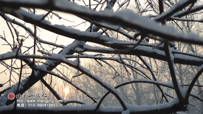 一場瑞雪，遍地花開；銀裝素裹，潔凈芬然。