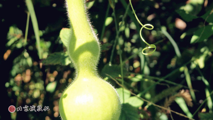 
成長的道路總會曲折跌宕；收獲的果實總是滿滿的寶藏。