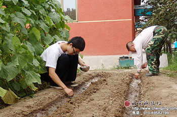 手語歌曲 感人身心