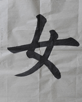 傅先生書法學(xué)習(xí)相冊:女