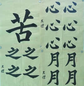 傅先生書法學(xué)習(xí)相冊