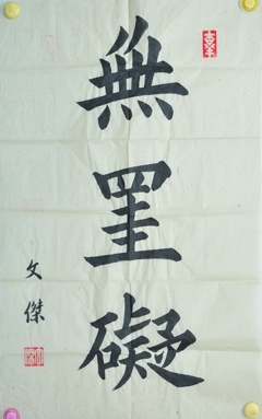 傅先生書法學(xué)習(xí)相冊:無掛礙