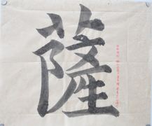 張同學(xué)書法學(xué)習(xí)相冊(cè):薩