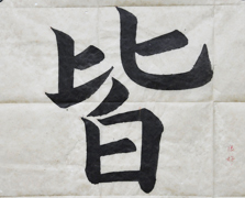 張同學(xué)書法學(xué)習(xí)相冊(cè):皆
